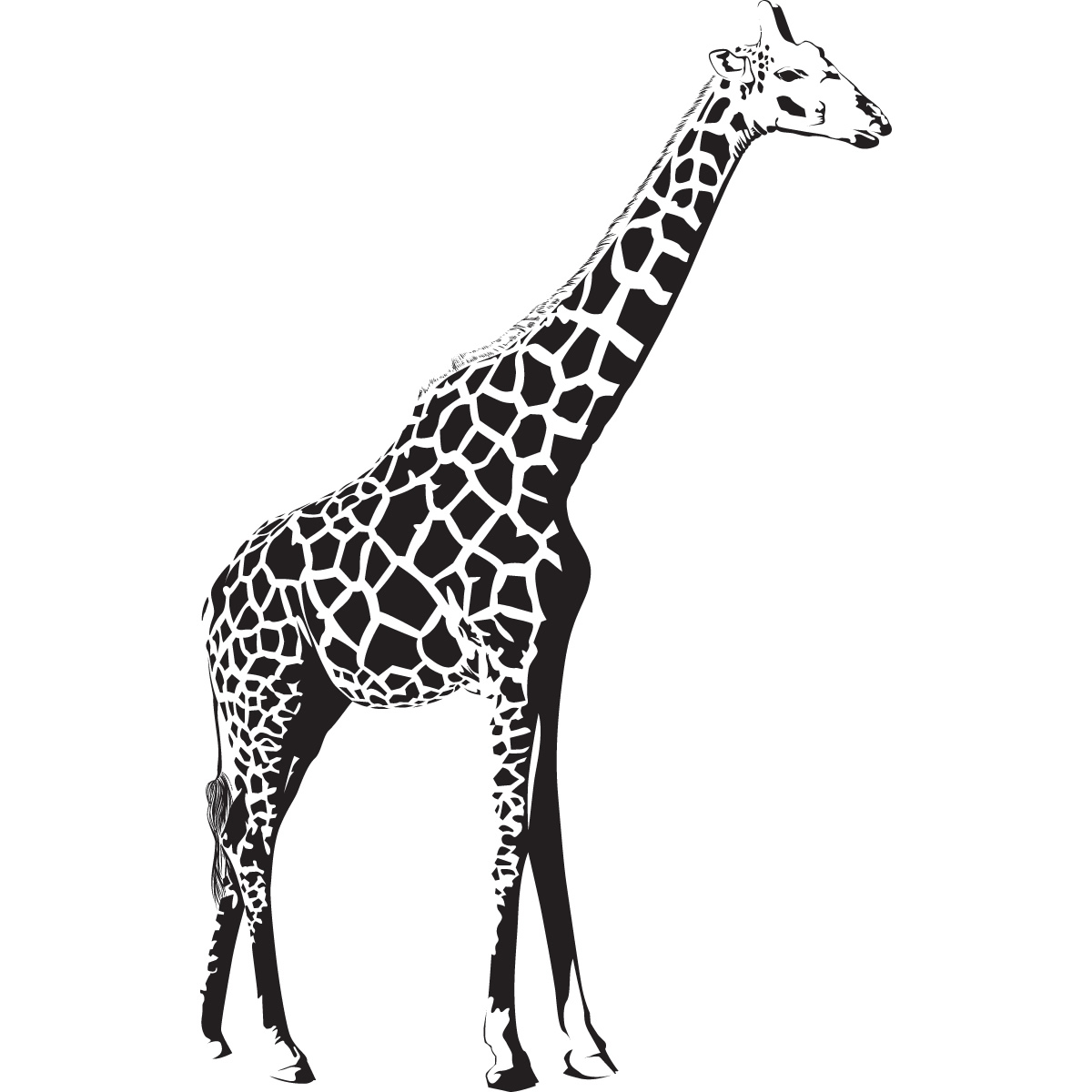 Giraffe Stood Up Animals Wall Art Stickers Wall Decal Transfers | eBay