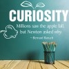 Curiosity Bernard Baruch Quote Wall Sticker