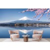 Cherry Blossom & Mount Fuji Volcano Wall Mural Wallpaper