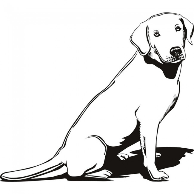 Labrador Dog Pet Animals Wall Sticker