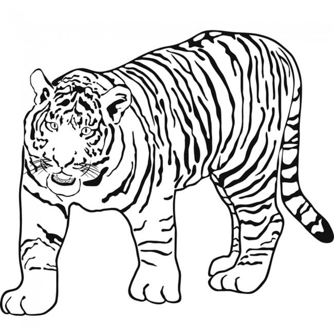 Prowling Tiger Jungle Animals Wall Sticker
