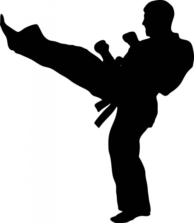 Martial Arts Karate Kick Wall Sticker