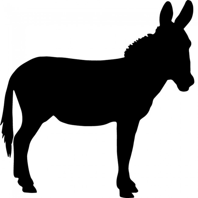 Donkey Farm Animals Wall Sticker Pack