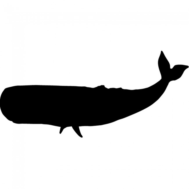 Blue Whale Under The Sea Wall Sticker Pack