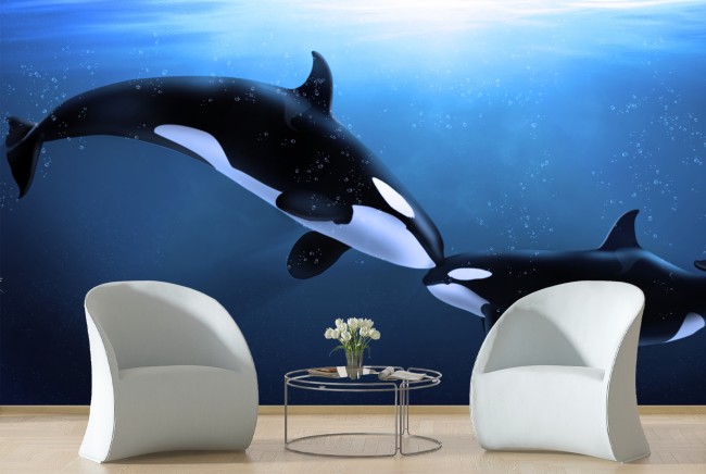 Orcas Kiss Killer Whale Wall Mural Wallpaper