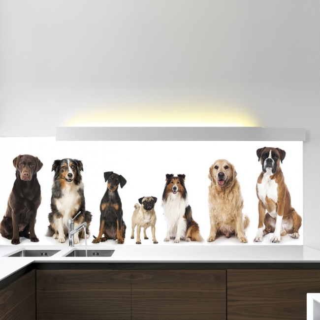 Panoramic Dog Wall Mural Wallpaper