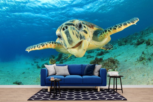 Sea Turtle Wall Mural Wallpaper