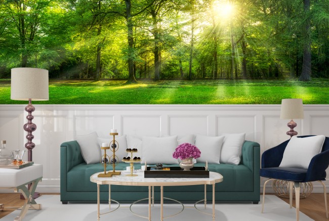 Green Tree forest Panoramic Wall Mural Wallpaper