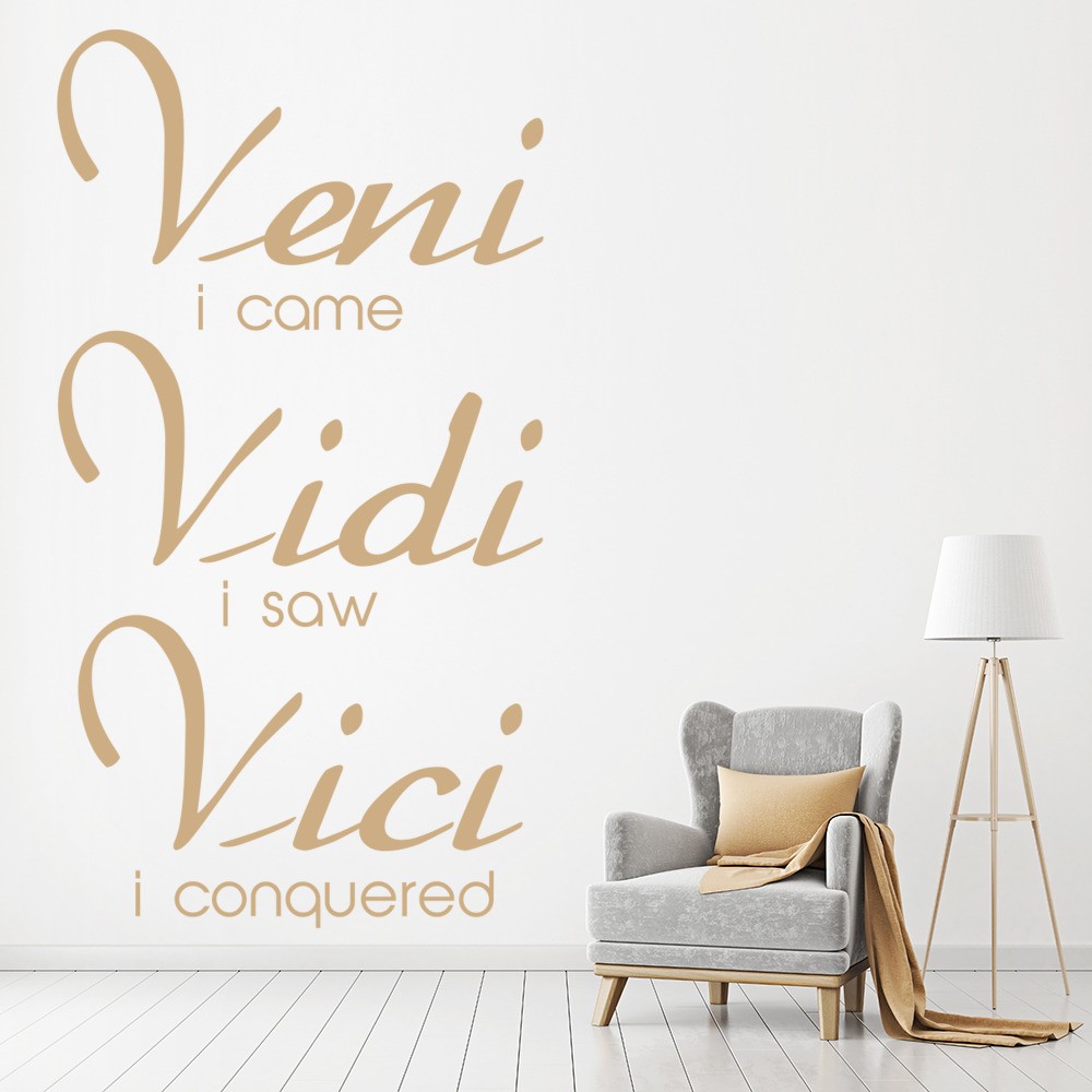 Veni Vidi Vici Minimalist - Veni Vidi Vici - Sticker