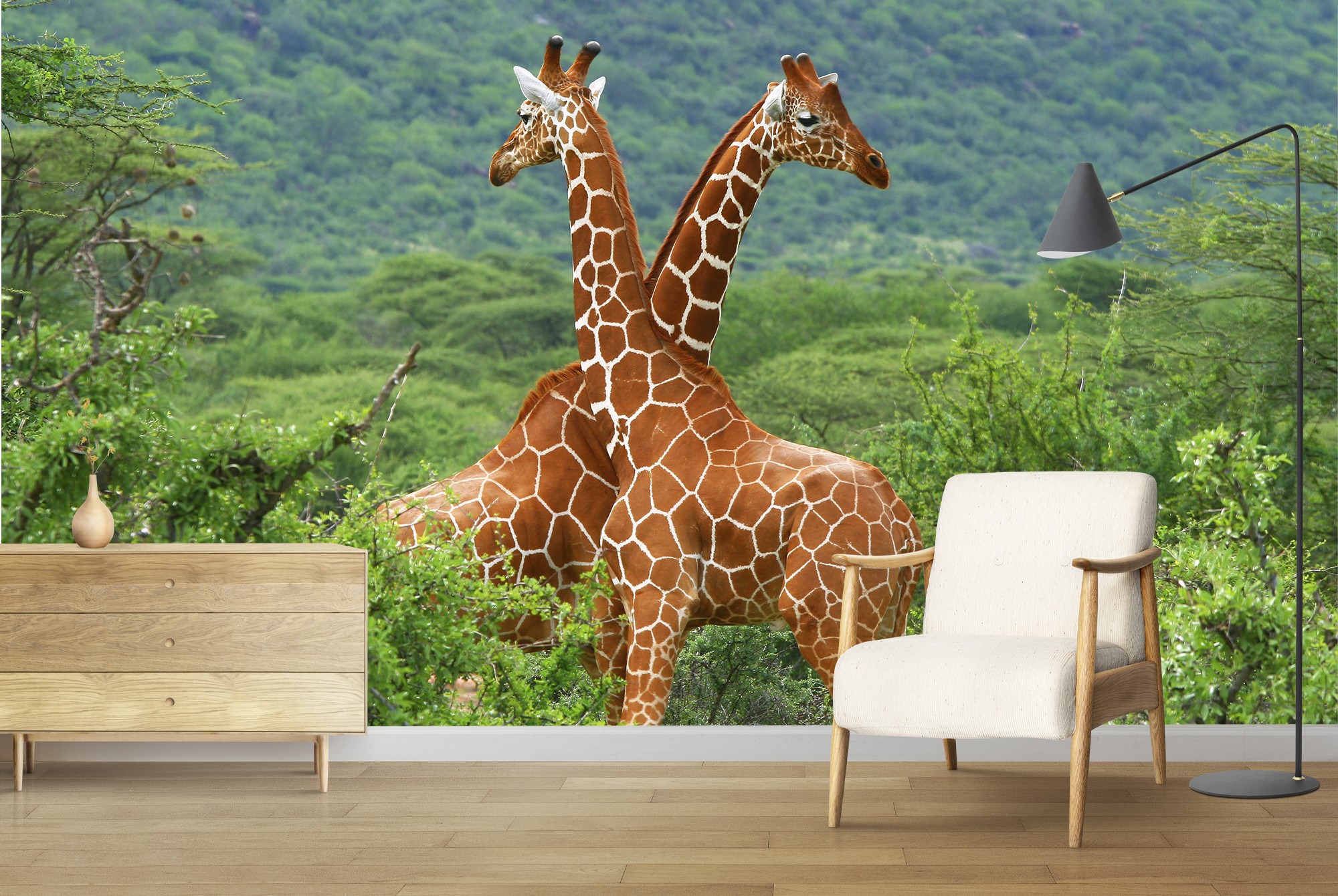 Giraffe Pair Wall Mural Wallpaper