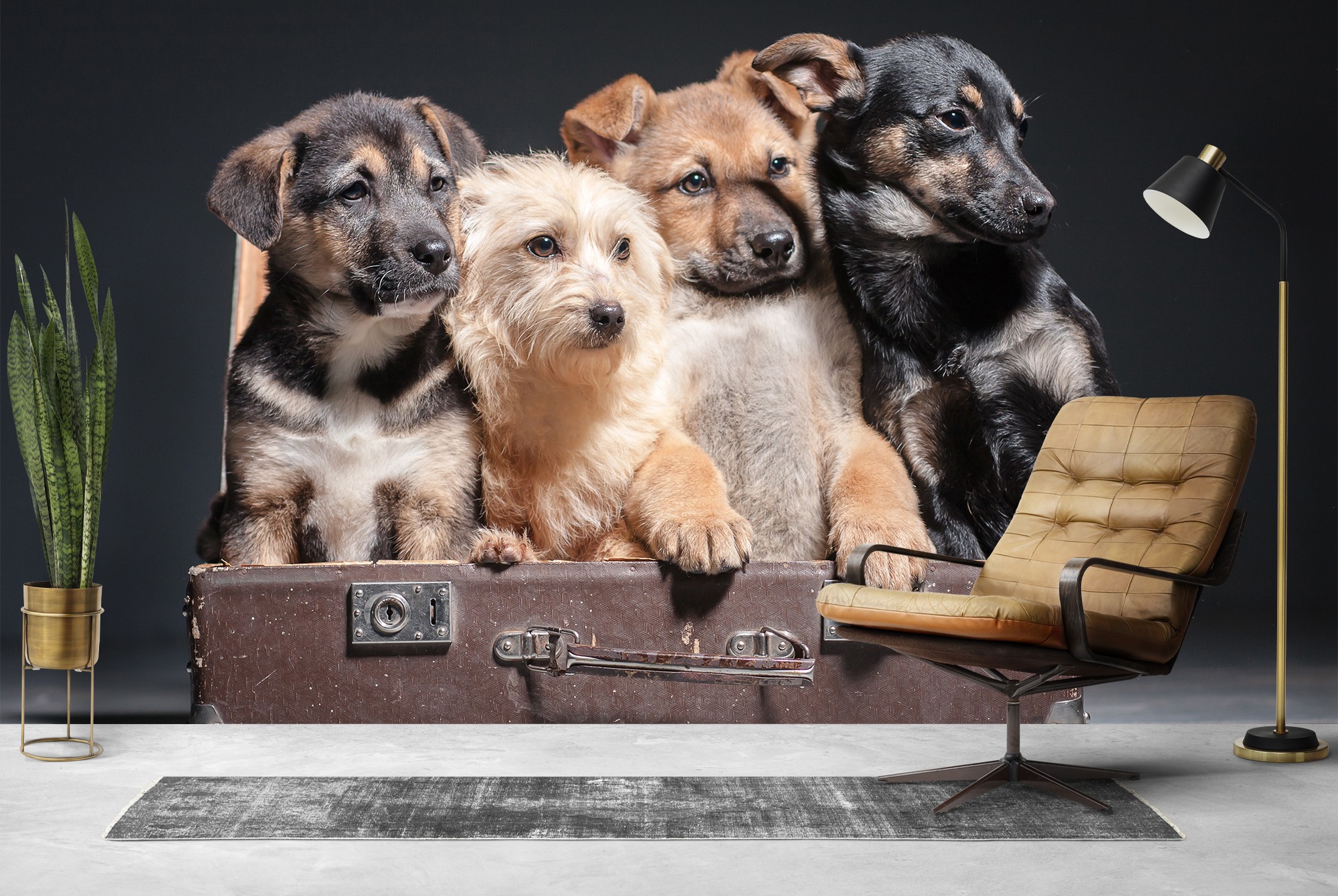 Suitcase with dogs on it online