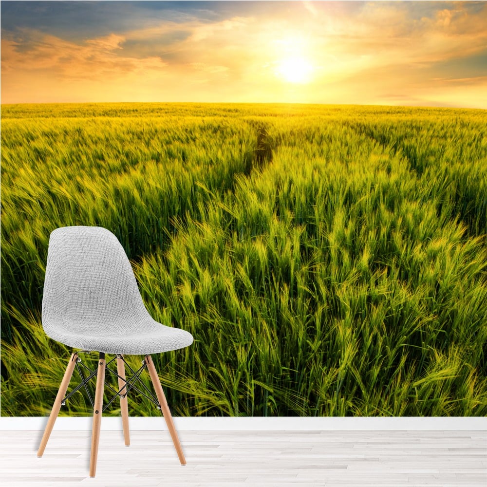 Green Field Sunset Meadow Wall Mural Wallpaper