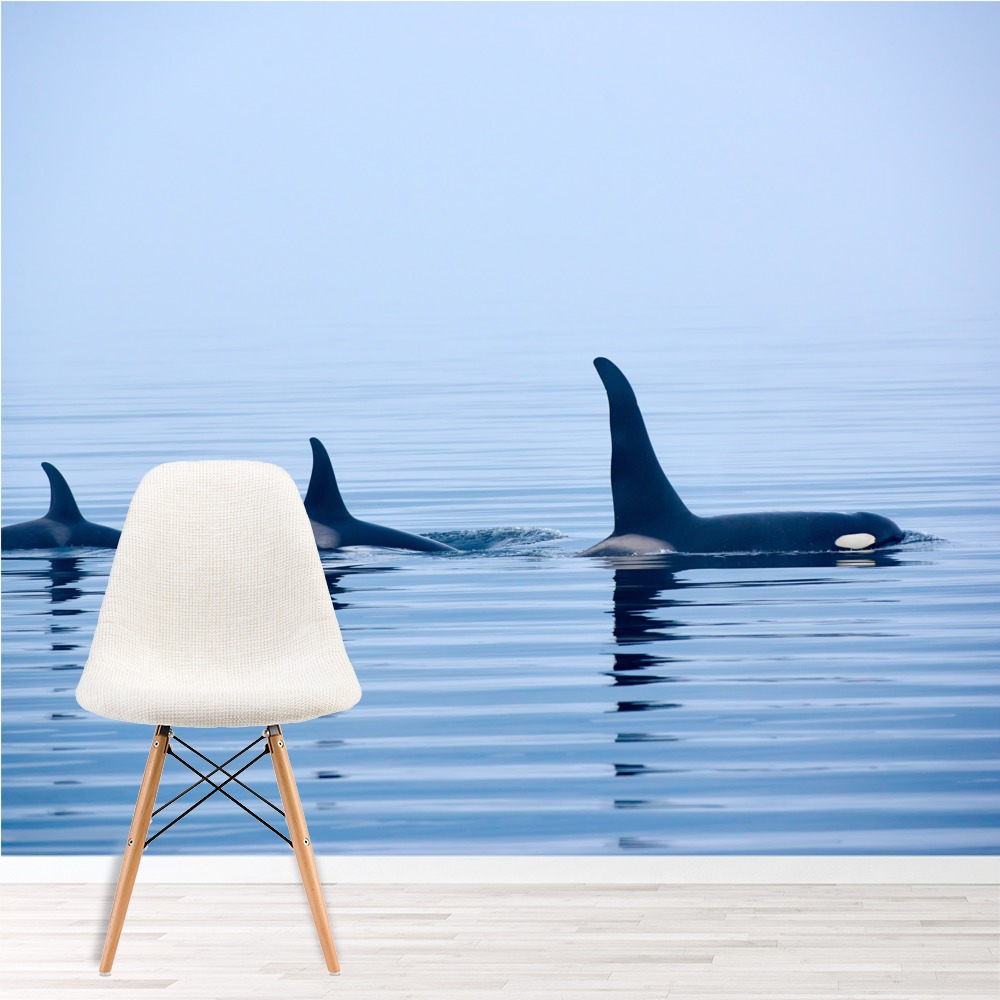 Orca Whale Family Wall Mural Wallpaper