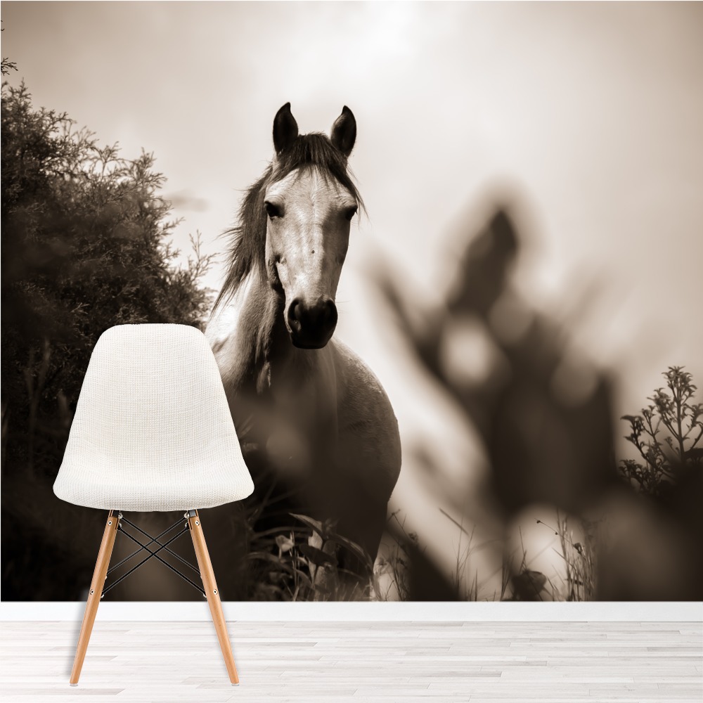 Lonely Horse Wall Mural Wallpaper